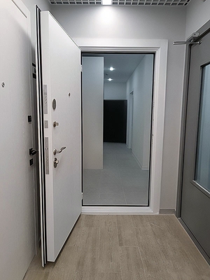 Белая входная дверь